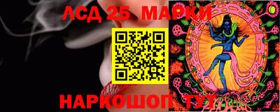 ПСИЛОЦИБИНОВЫЕ ГРИБЫ Нальчик