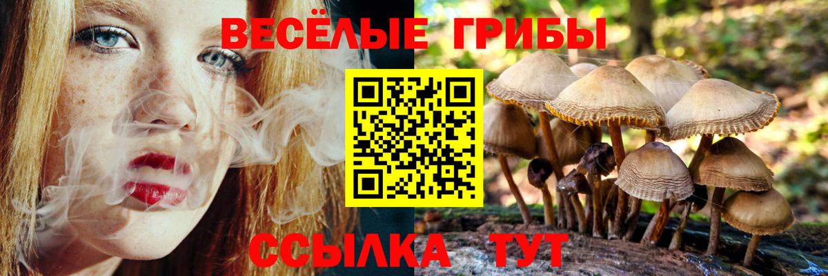 Галлюциногенные грибы прущие грибы Серпухов