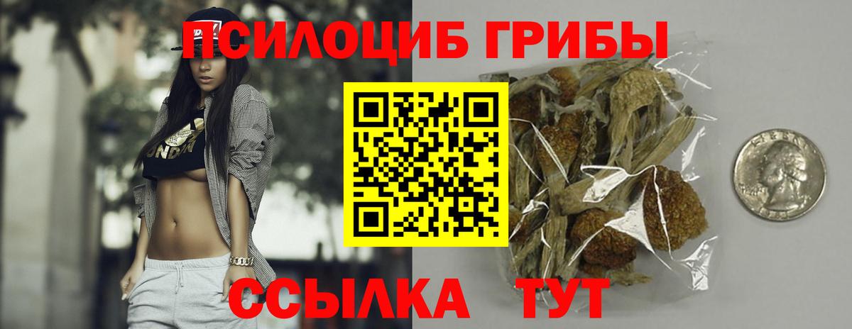 Галлюциногенные грибы Psilocybine cubensis  Вход с VPN  Псилоцибиновые грибы Psilocybe  Серпухов 